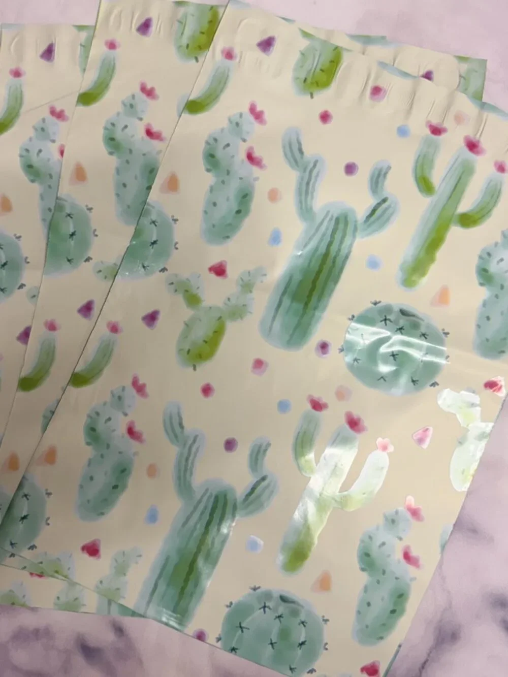 25 10x13 Cactus designer poly mailer